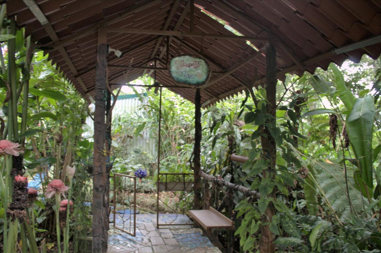 Salamandra Costa Rica Jimenez Exterior photo