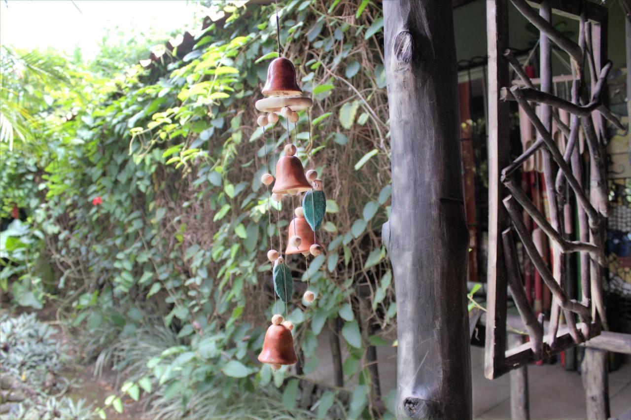 Salamandra Costa Rica Jimenez Exterior photo
