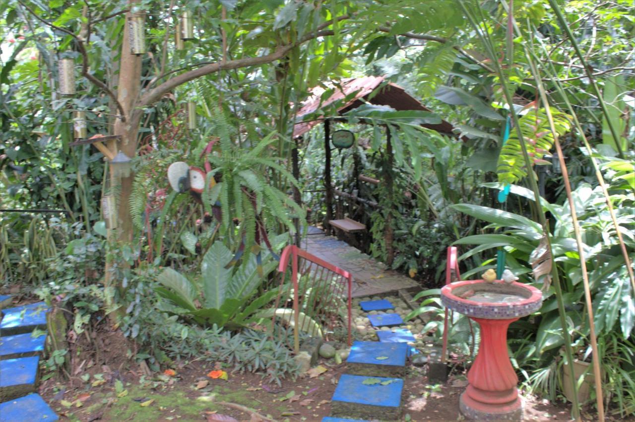 Salamandra Costa Rica Jimenez Exterior photo